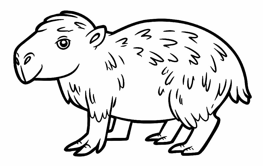 Desenho Para Colorir Animais Capivara Para Crianças Pré Escolares Atividade  imagem vetorial de natchapohn© 354004096