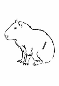 Desenhos de Capivara para colorir - Bora Colorir