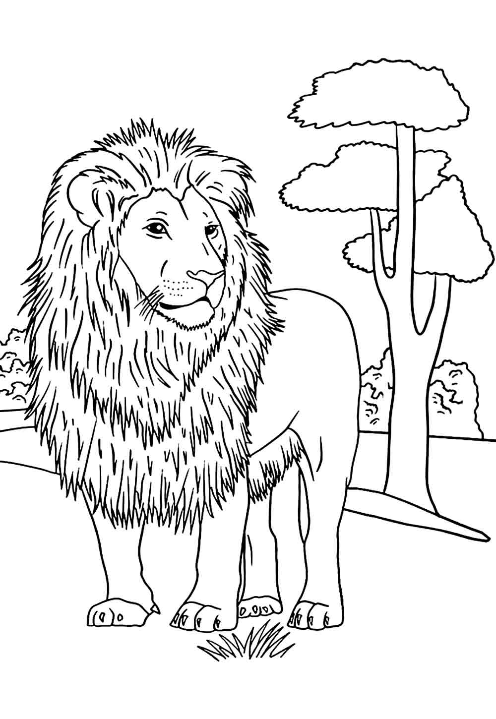 Desenho de Leão para imprimir