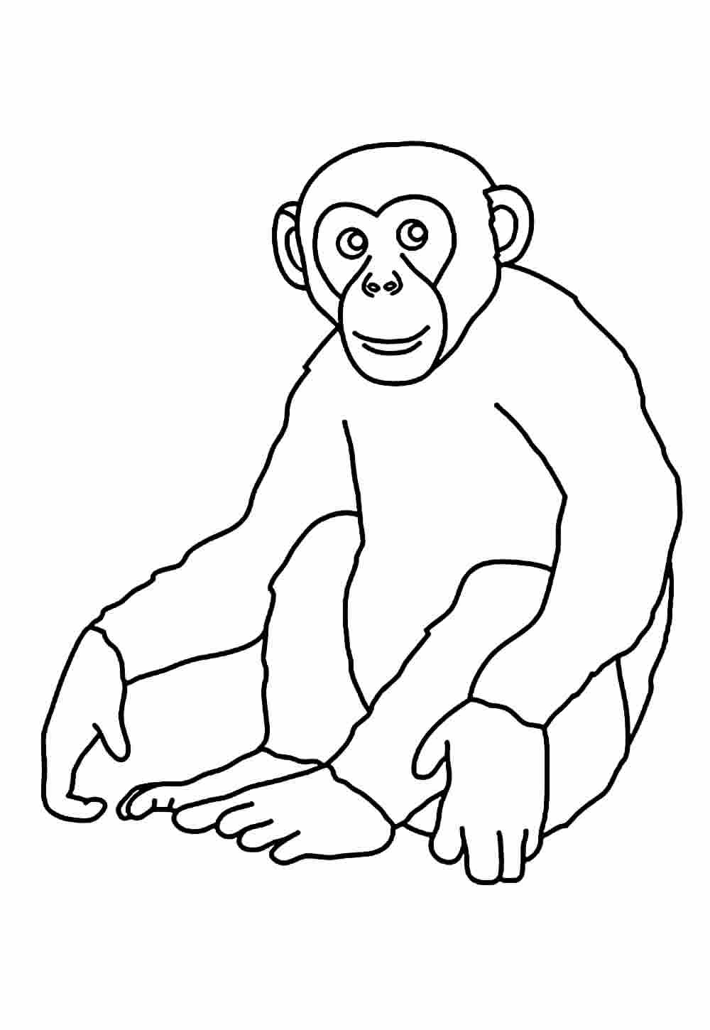 Pintar desenho de Macaco