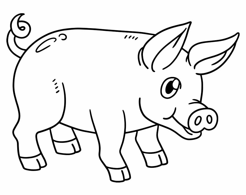 Desenho de Porco