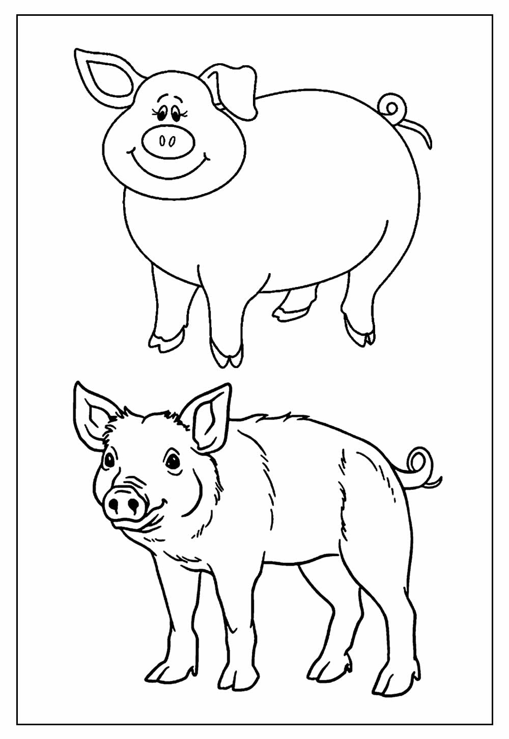 Desenho de Porcos para colorir