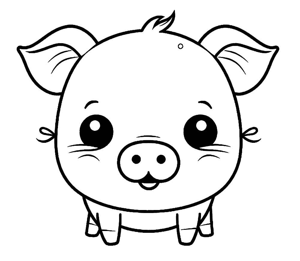 Desenho de Porco para colorir
