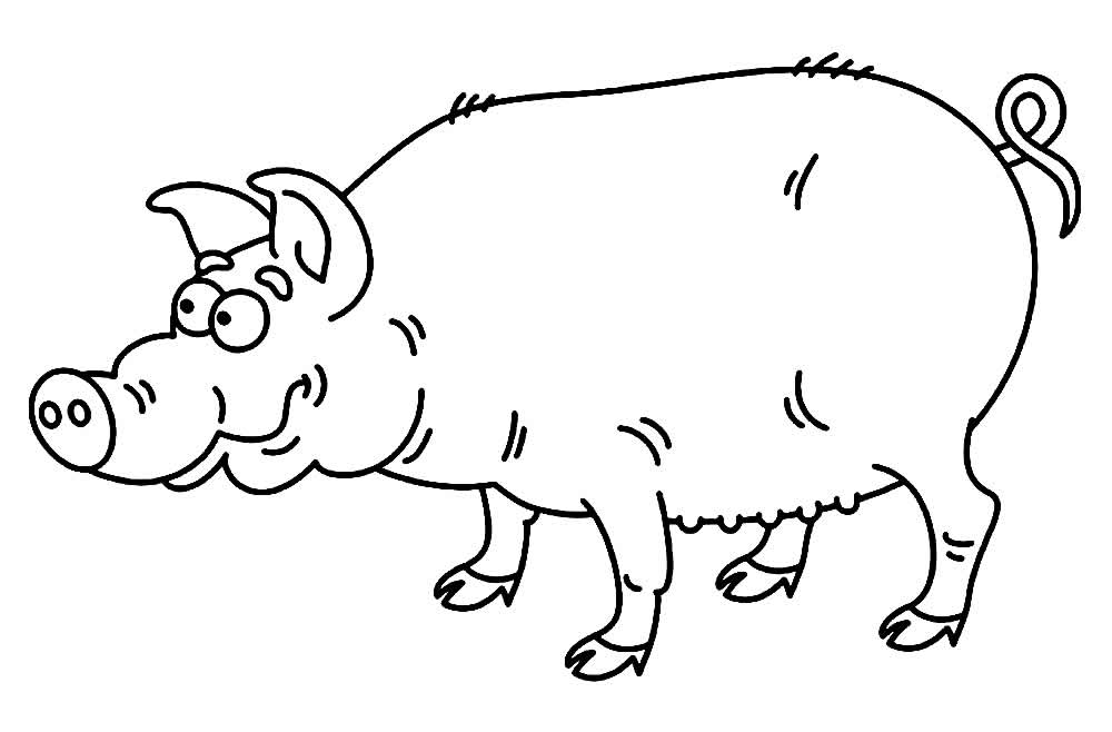 Desenho de Porquinho