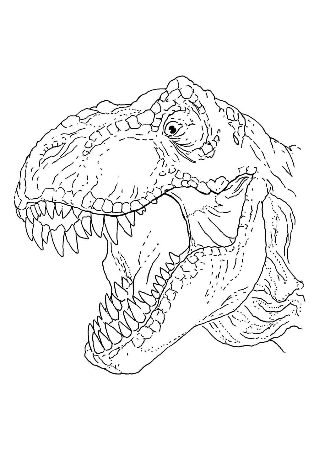 Desenho de Dinossauro para colorir