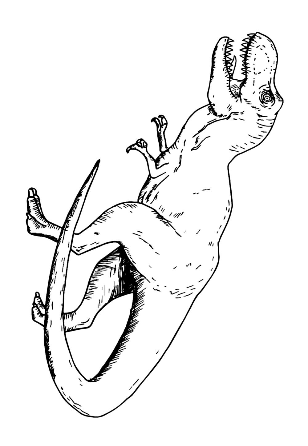 Desenho para pintar - T-Rex