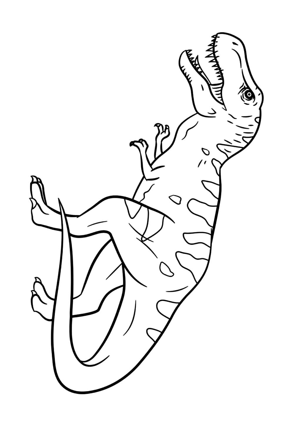 Desenhos T-Rex Colorir