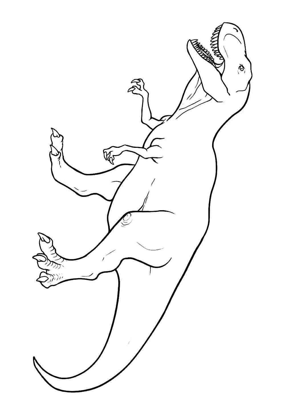 T-Rex Colorir e Pintar