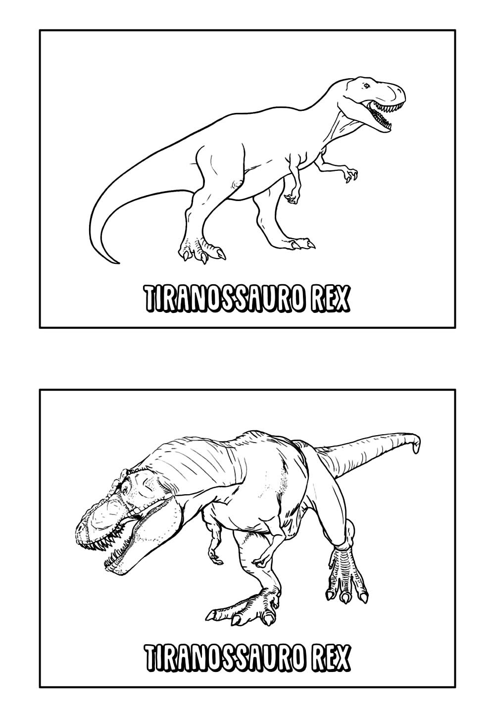Desenhos de Dinossauro para colorir - Educativo - T-Rex