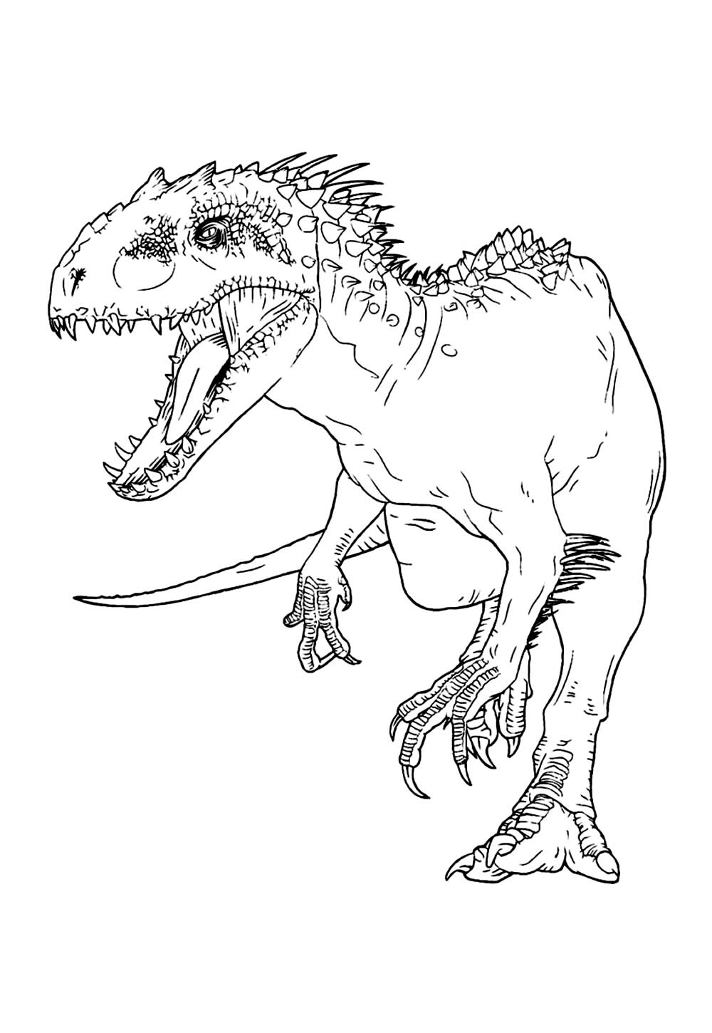 Desenho de Dinossauro T-Rex para colorir