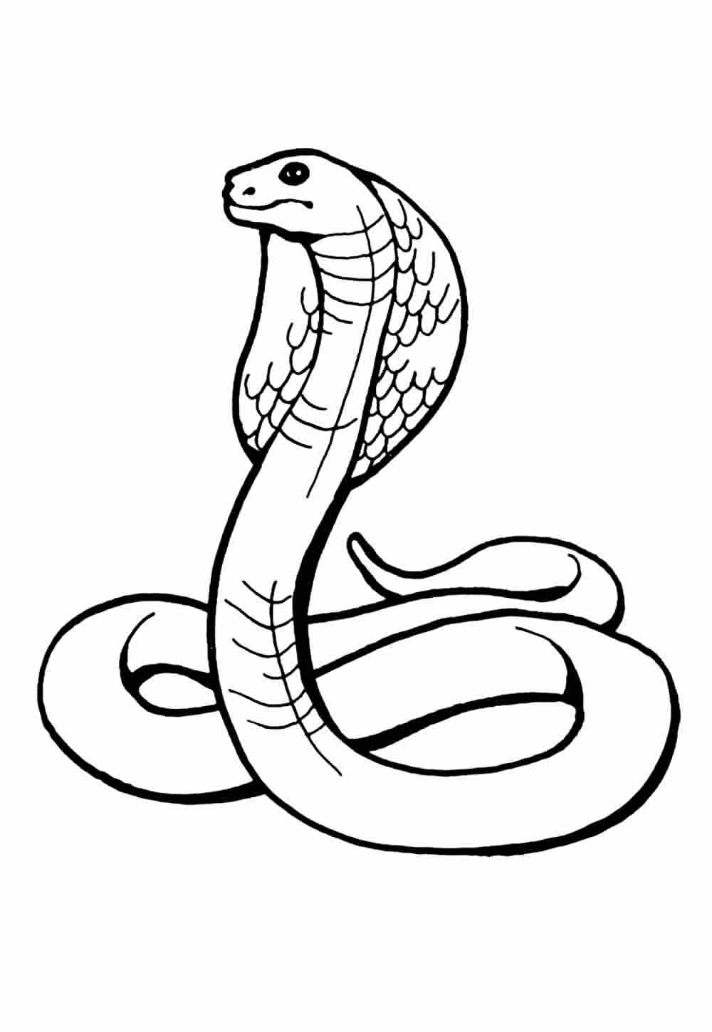 Desenho para pintar de Cobra