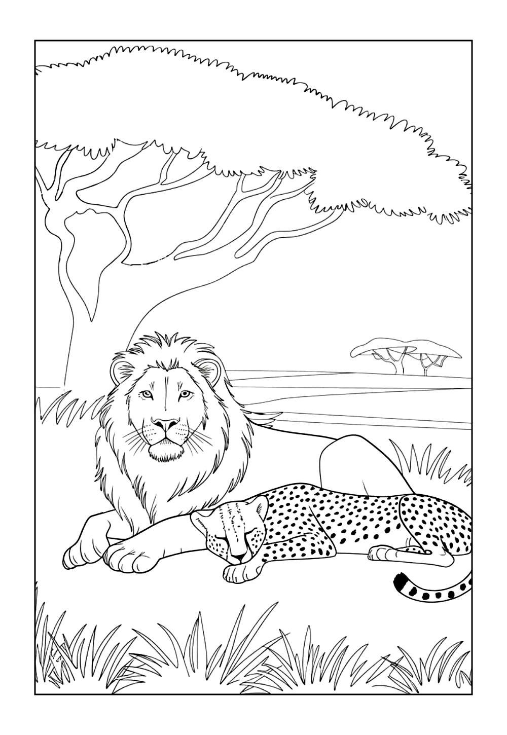 Desenhos de Leão para colorir