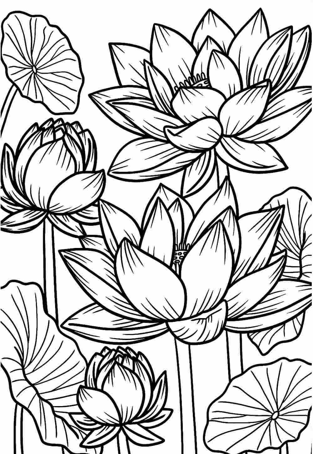 Desenho de flores para colorir