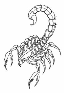 Desenhos de Escorpião para colorir - Bora Colorir