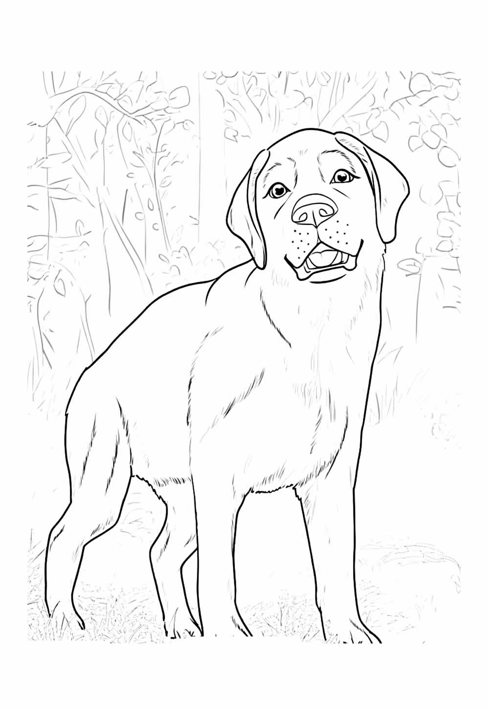Desenho de Labrador para colorir - Flow