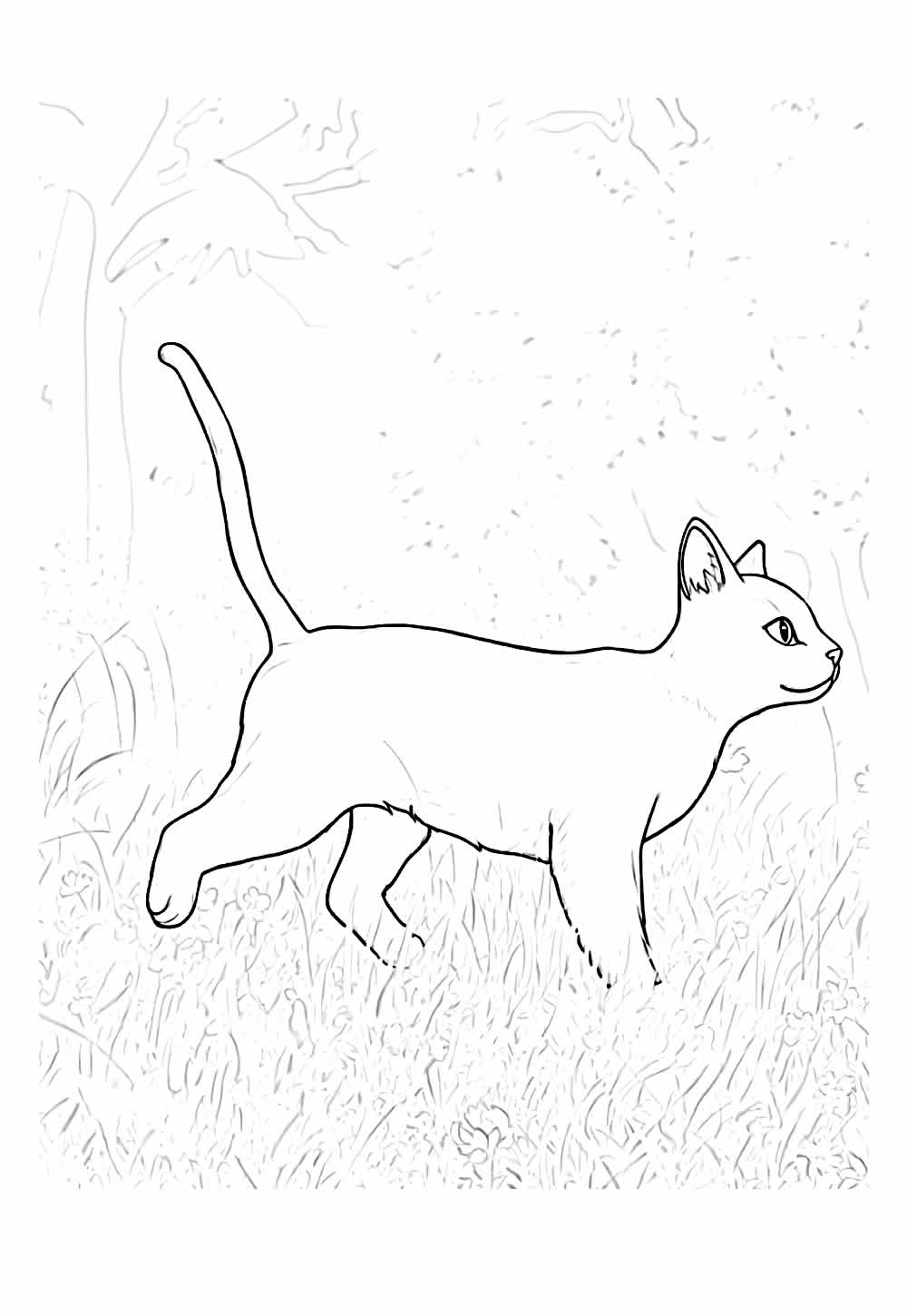 Desenho de Gatinho para colorir