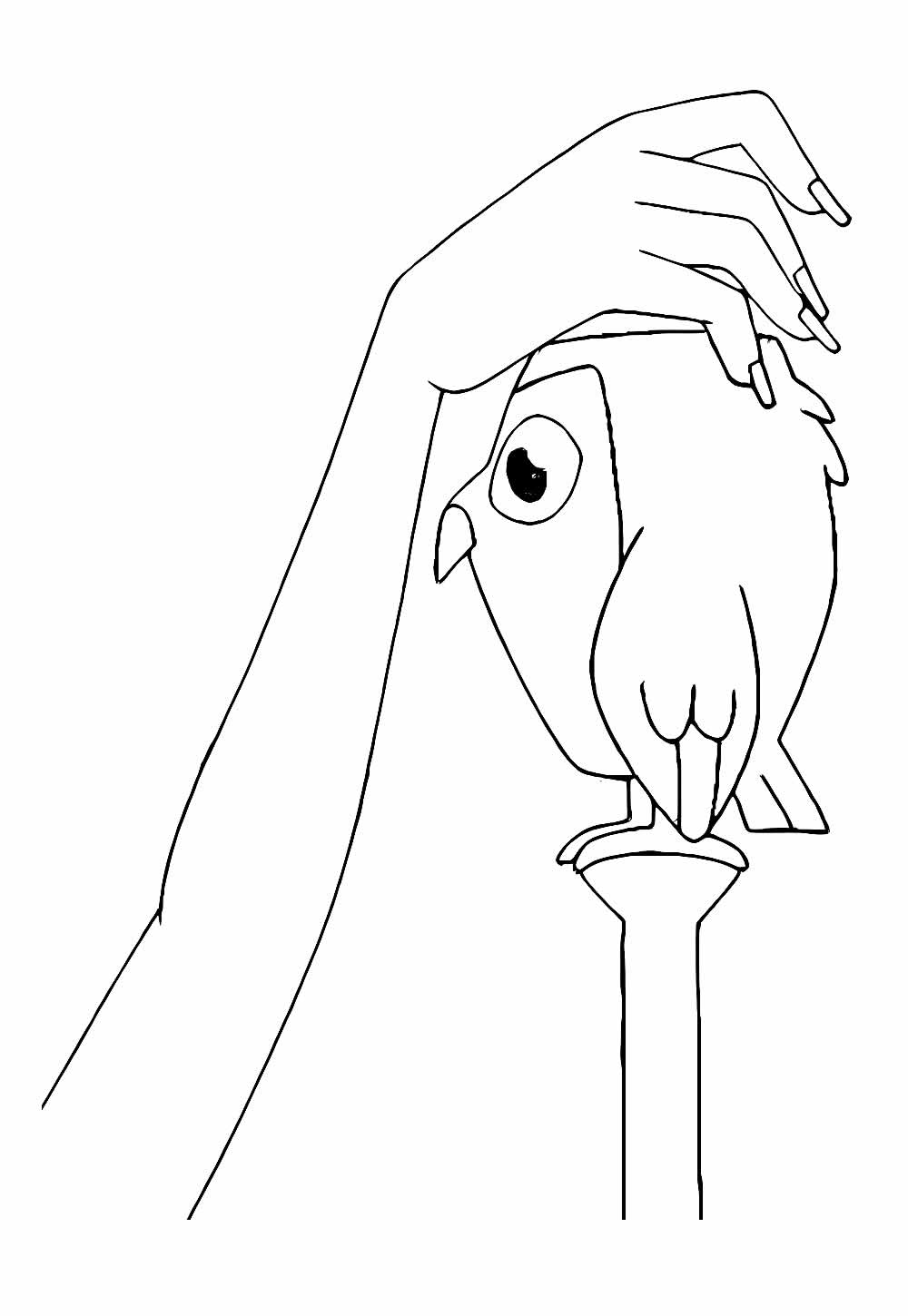 Desenho A Casa da Coruja Pintar
