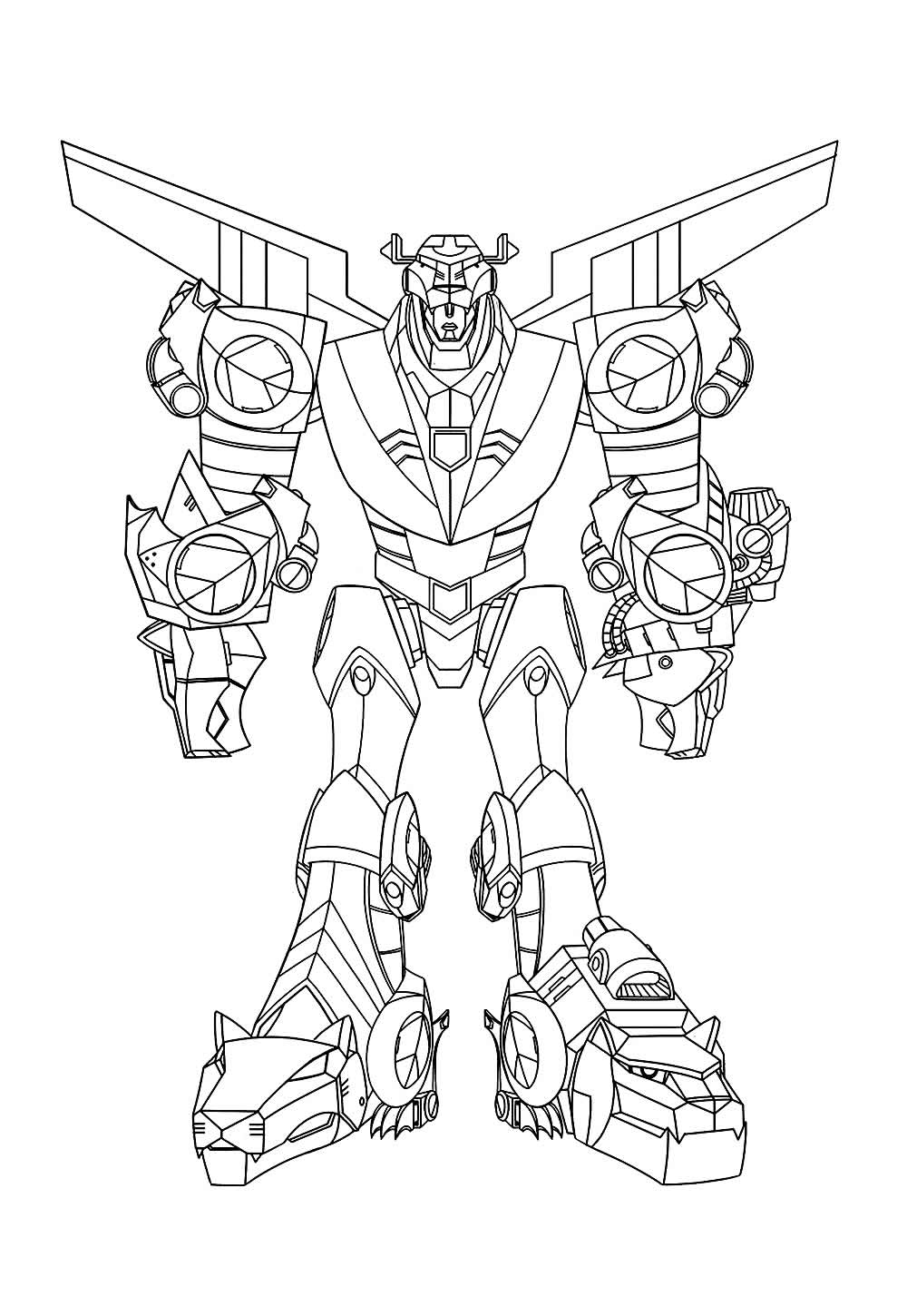 Desenho de Voltron: Legendary Defender