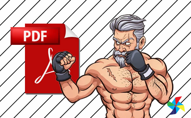 Desenhos de UFC em PDF