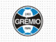 Desenhos do Grêmio para colorir