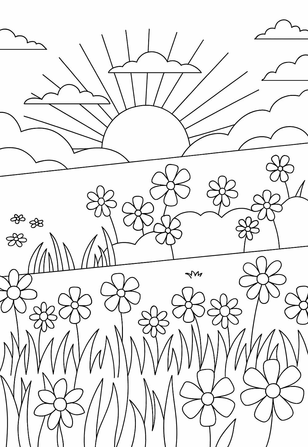 Desenho Campo Florido Colorir