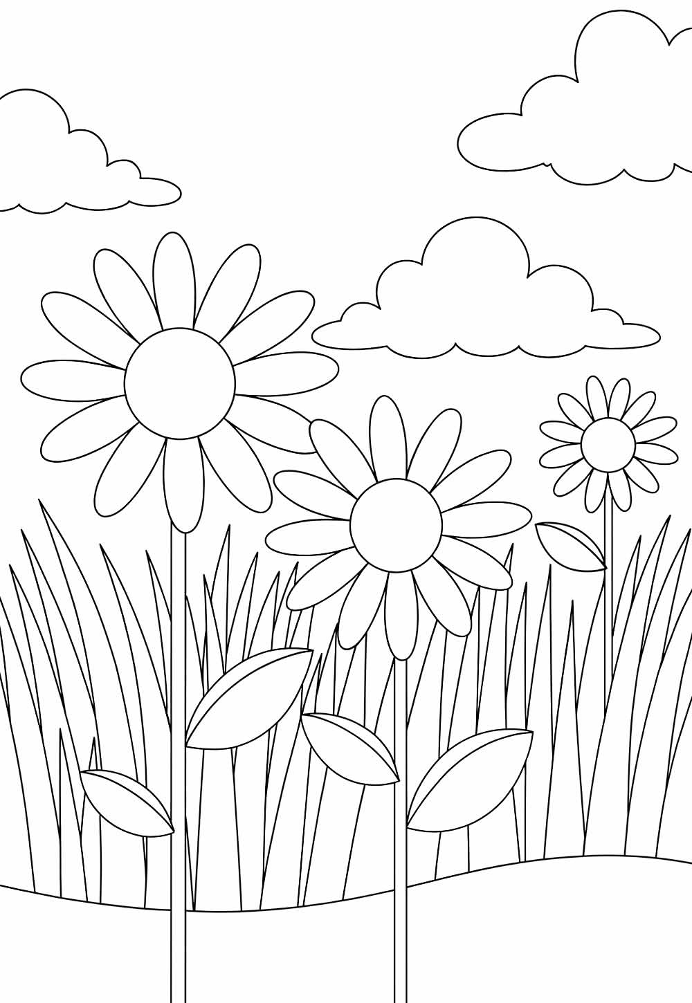 Campo Florido para colorir