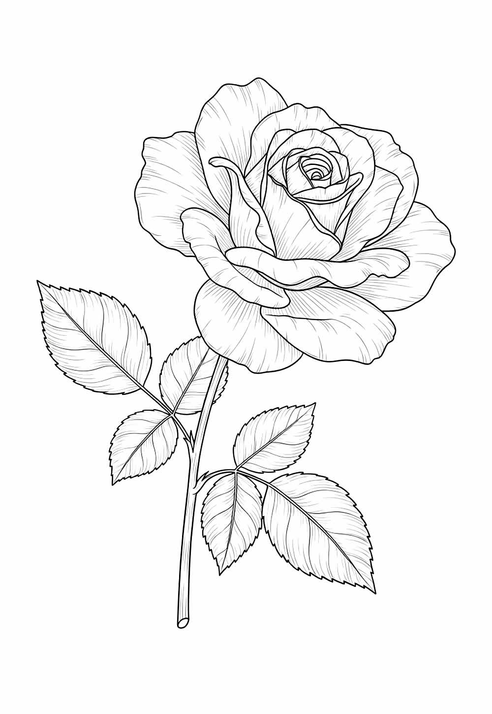 Desenho de Flor para colorir