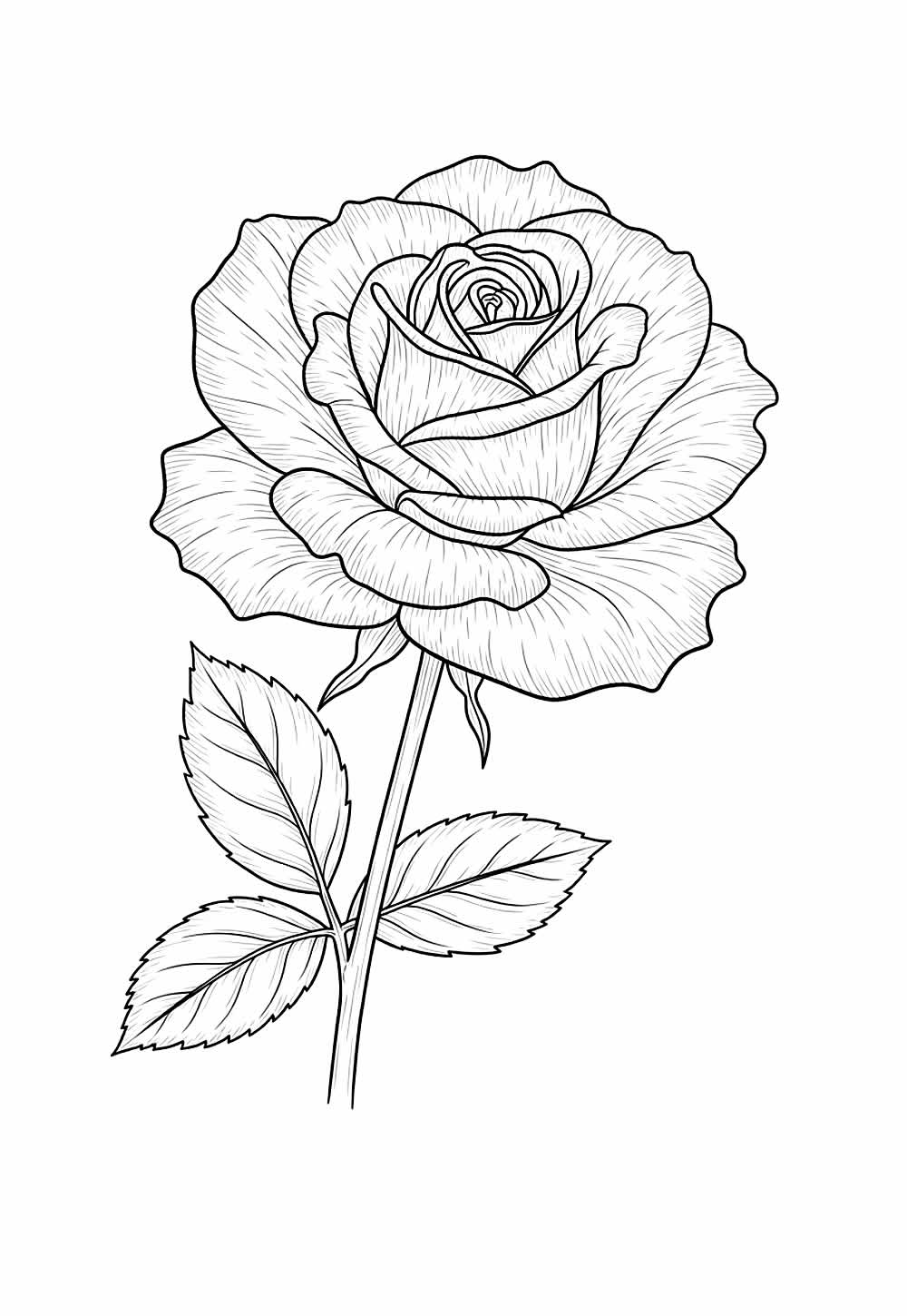 Flor para colorir
