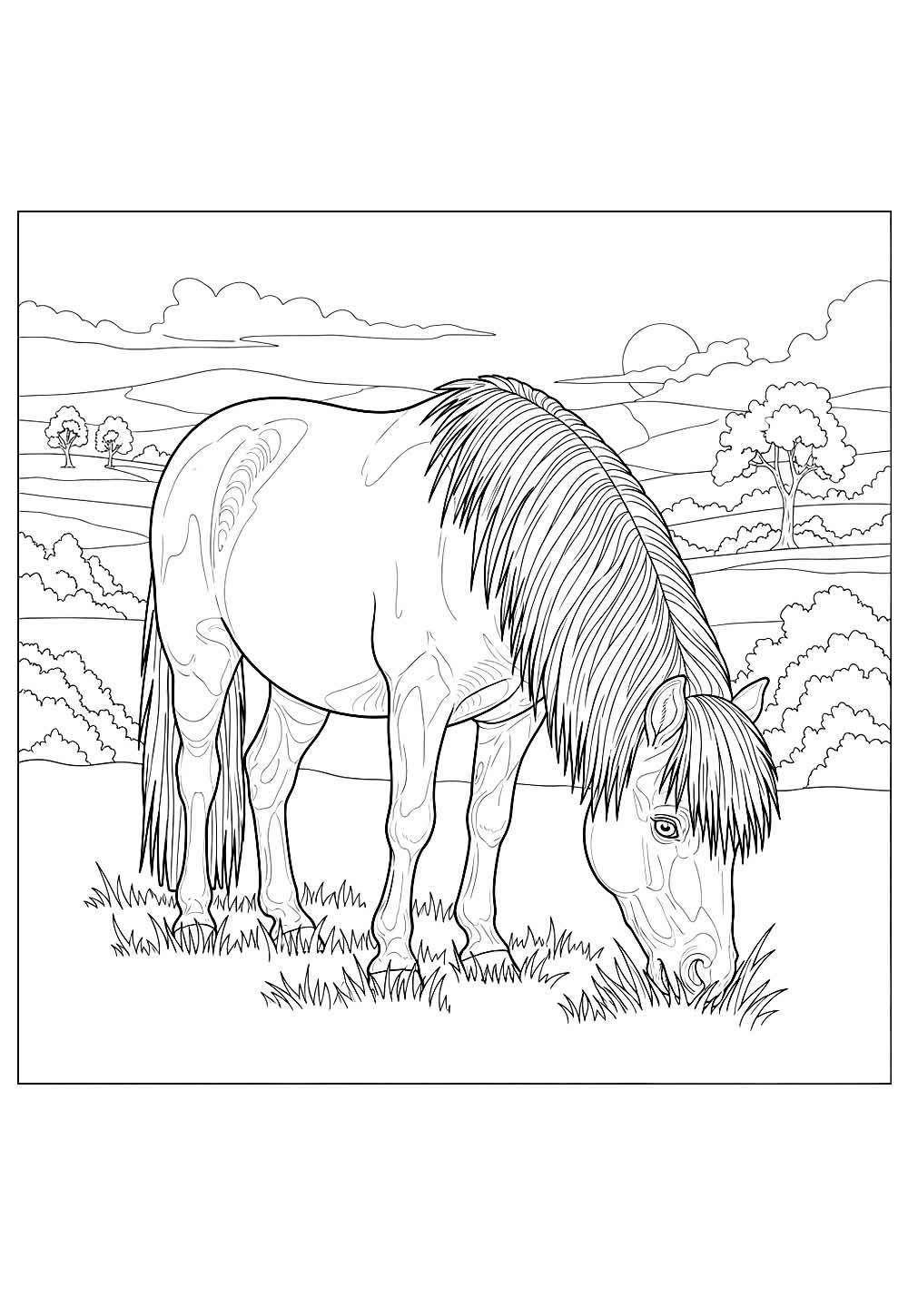 Desenho de Pônei para pintar