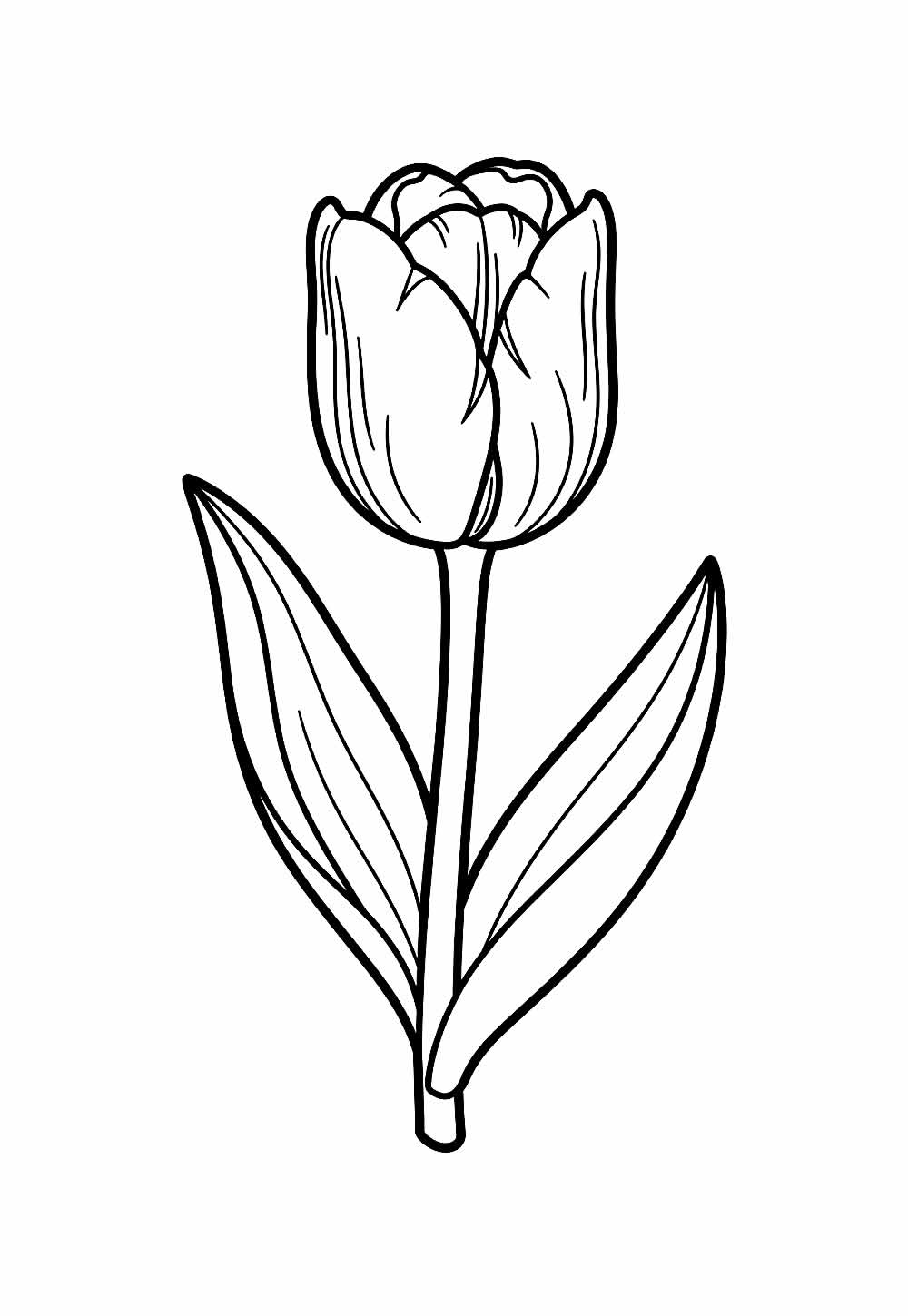 Desenho de Tulipa para colorir