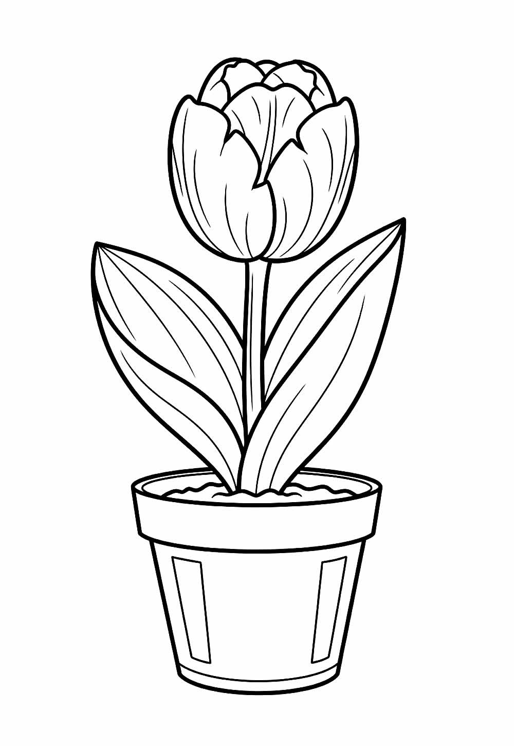 Tulipa no Vaso - FLor