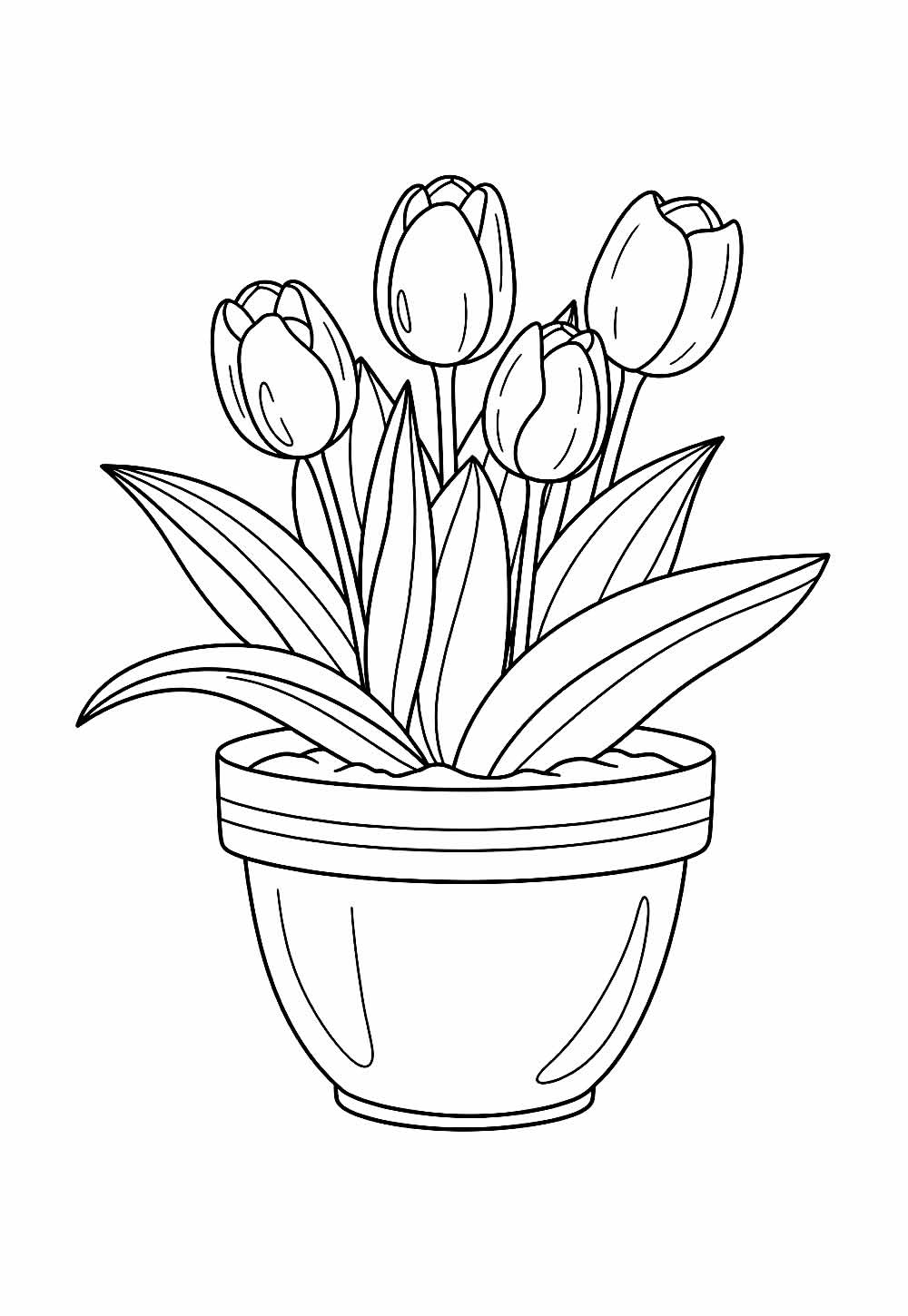 Tulipas no Vaso