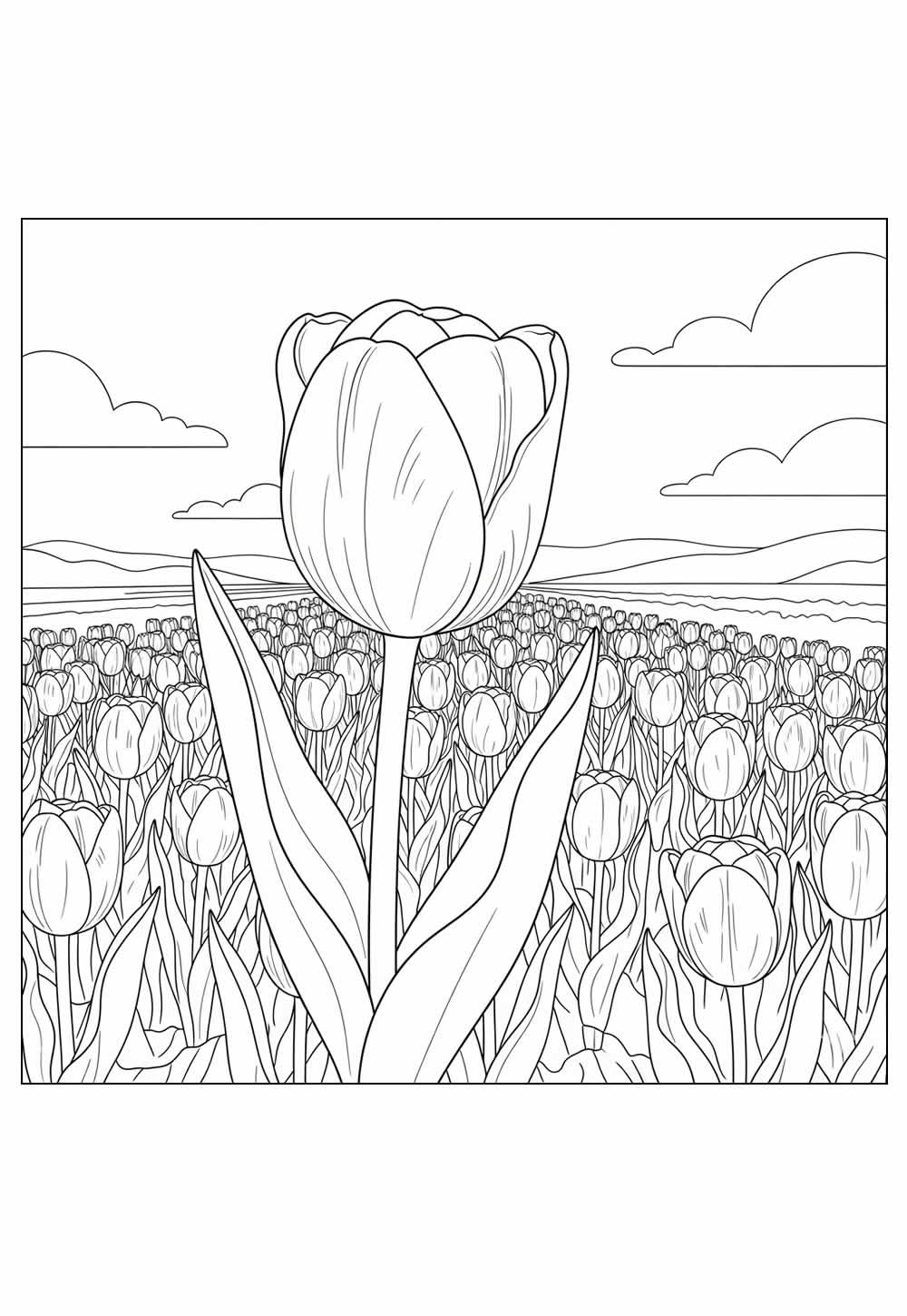 Desenho de Tulipa para colorir