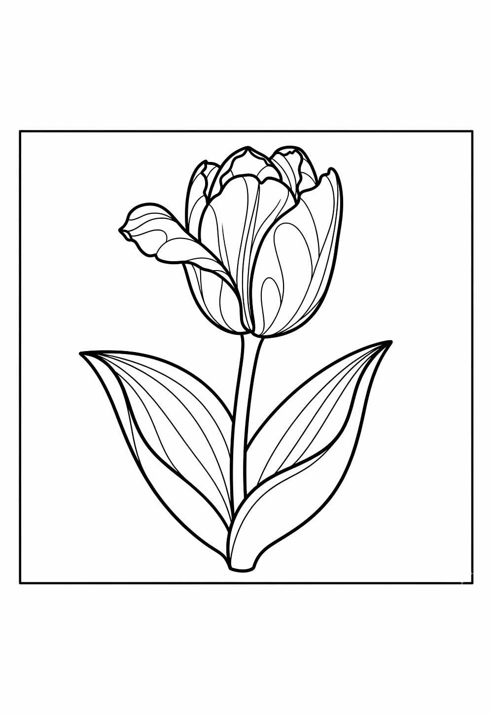 Desenho de Tulipa para pintar