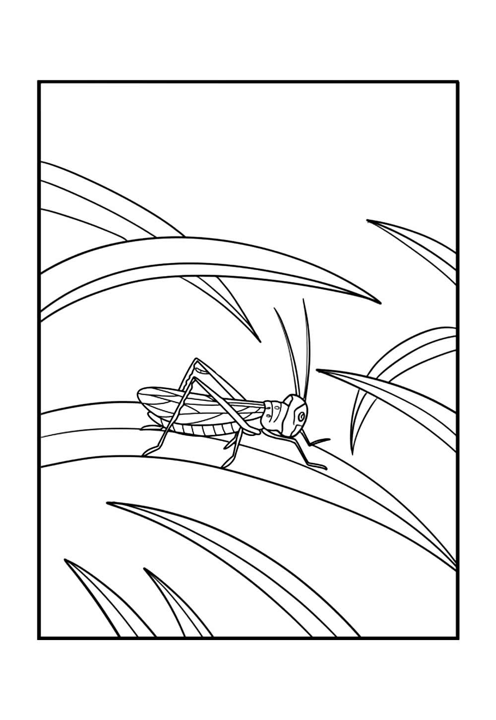 Desenho de Grilo para colorir