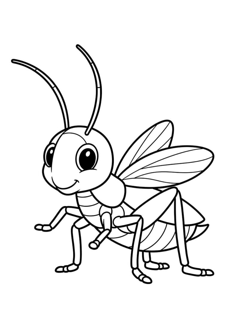 Desenhos de Grilo para colorir - Bora Colorir