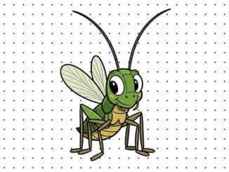 Desenhos de Grilo para colorir