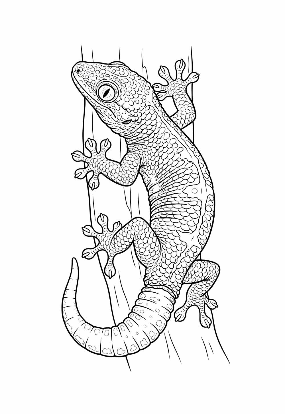 Desenho de Lagartixa para colorir
