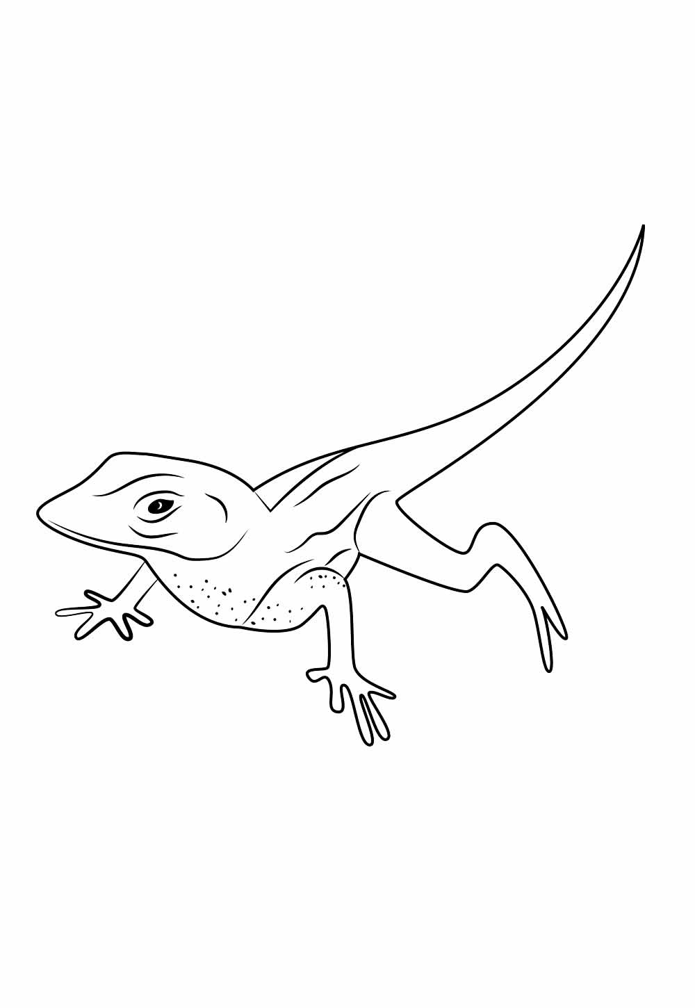 Lagartixa para colorir