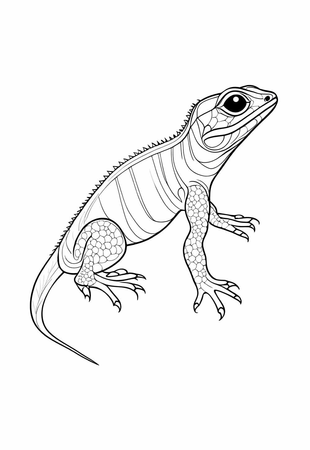Desenho de Lagartixa para colorir