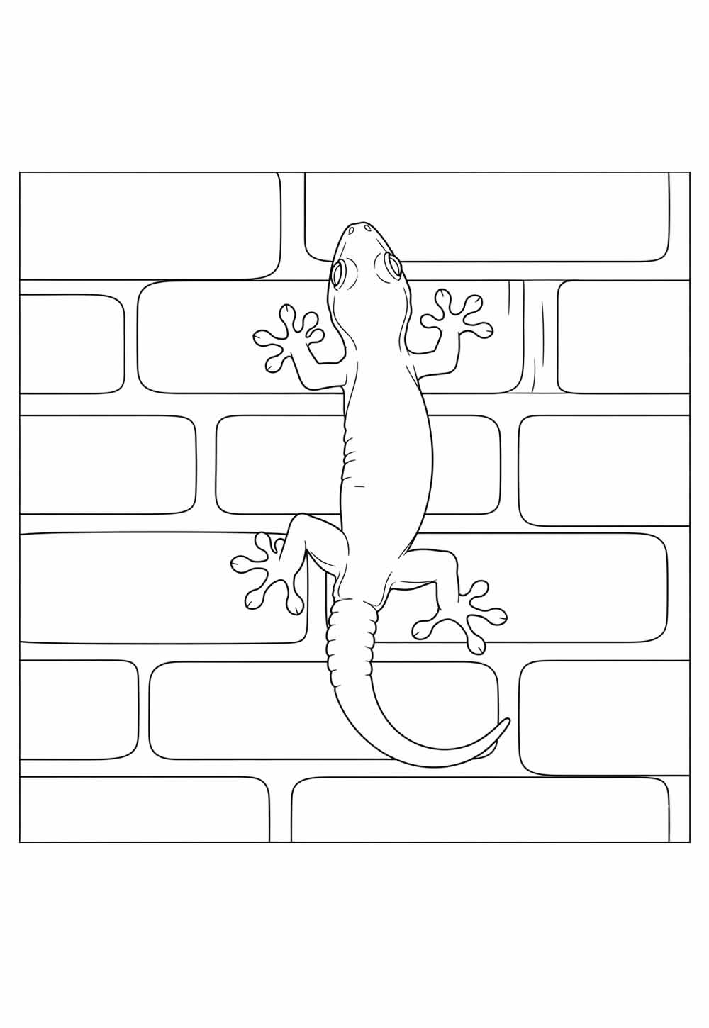Desenho de Lagartixa para colorir