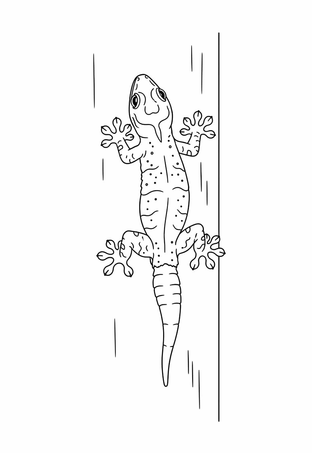 Desenho de Lagartixa para colorir