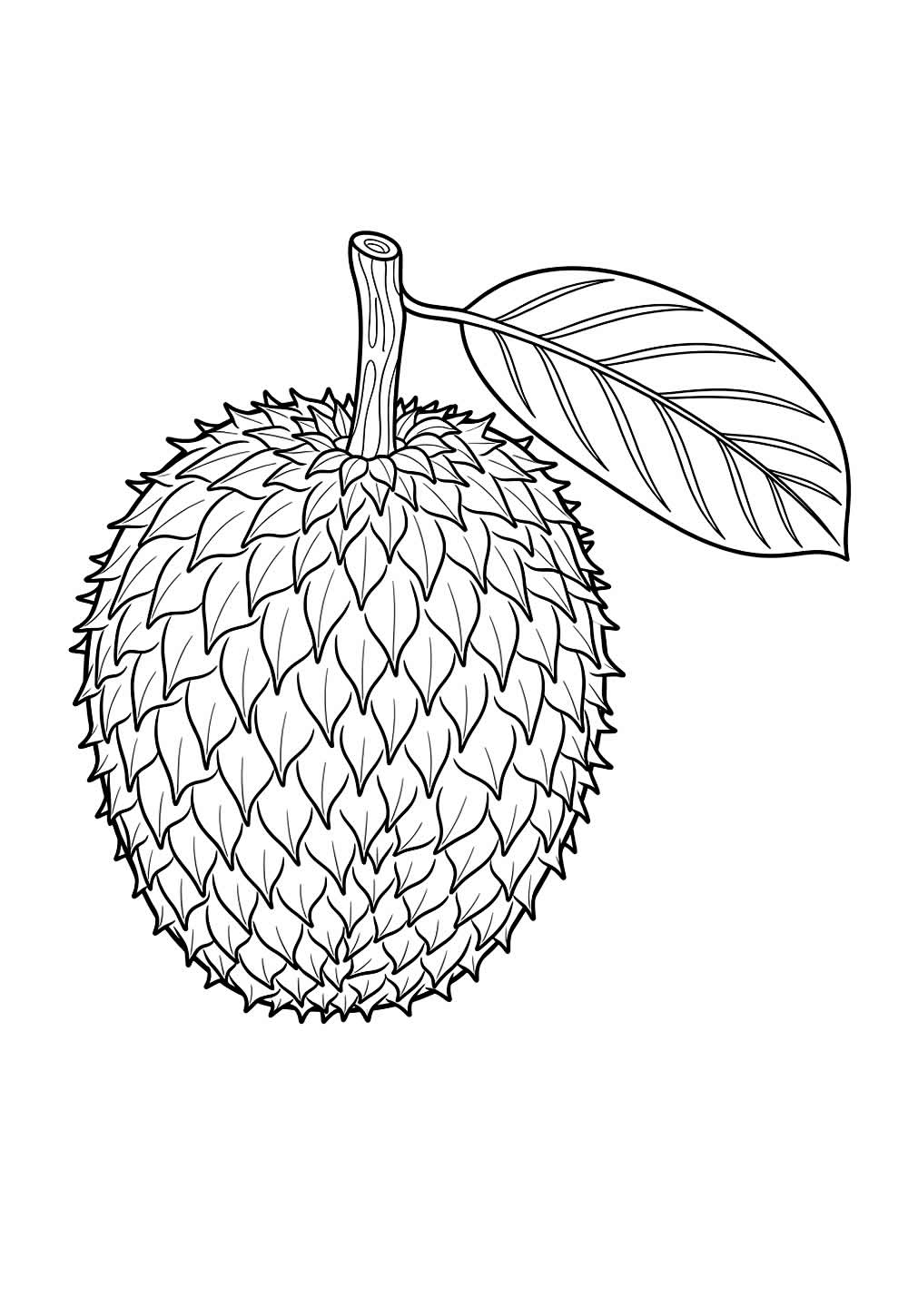 Desenho de Pinha para colorir