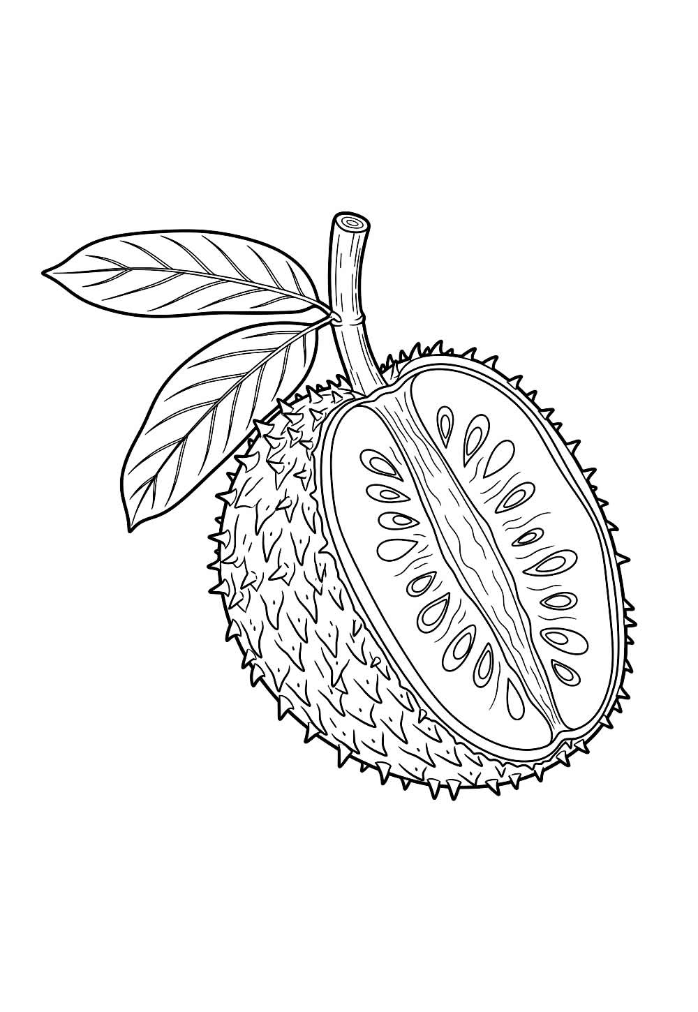 Desenho de Pinha para pintar