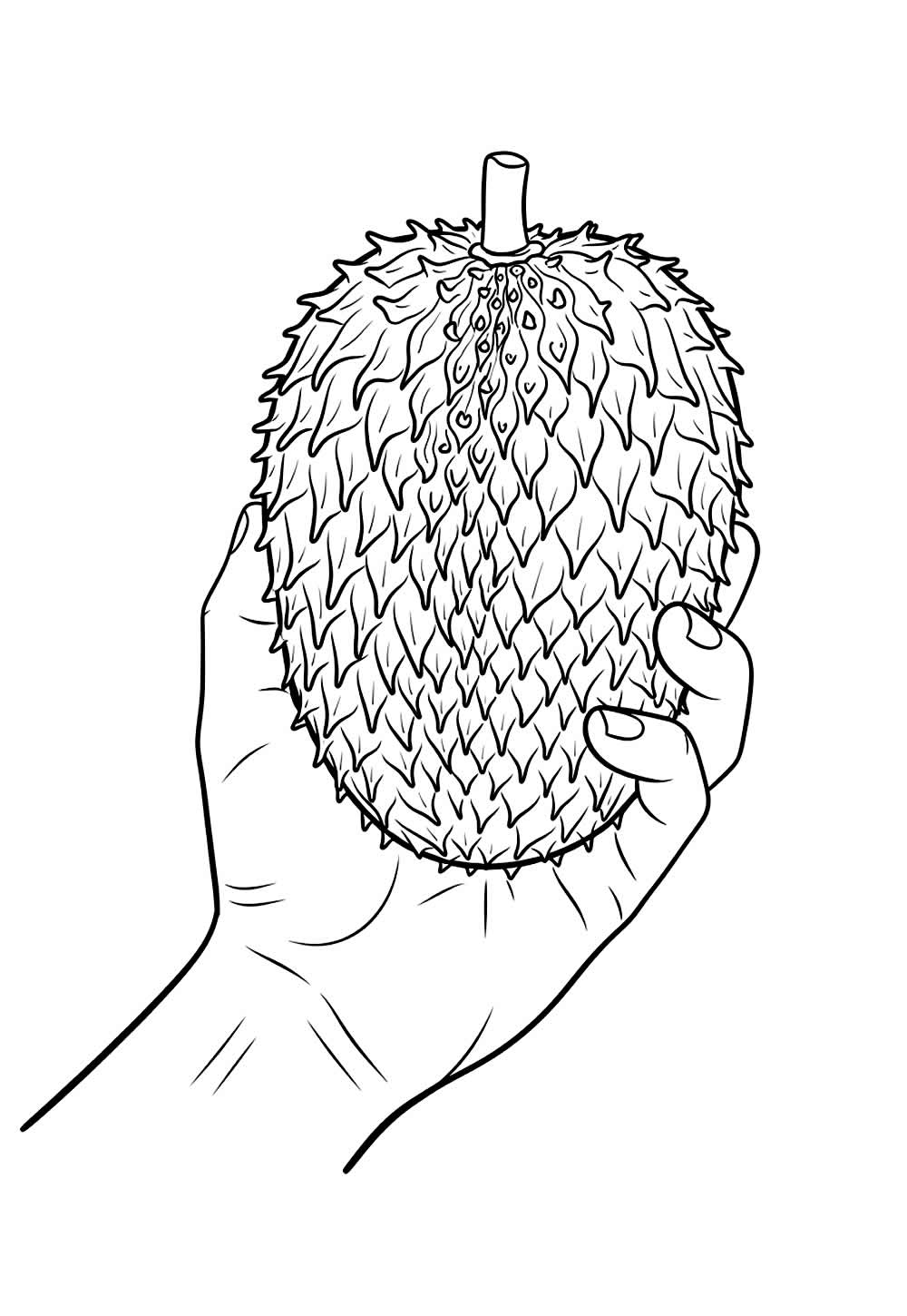 Desenho de Pinha para colorir e pintar