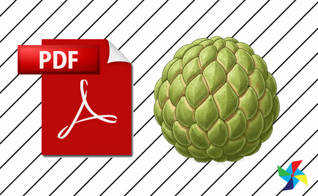 Desenhos de Pinha em PDF