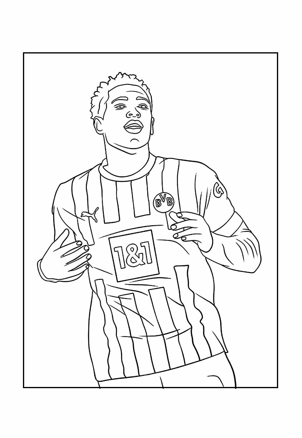 Desenho de Bellingham
