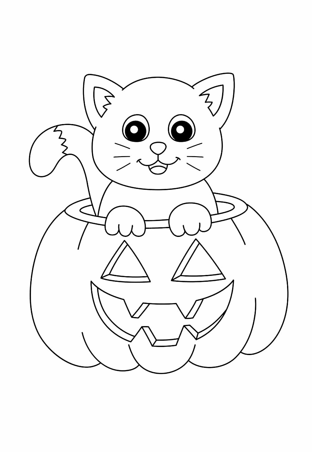 Gatinho e Abóbora