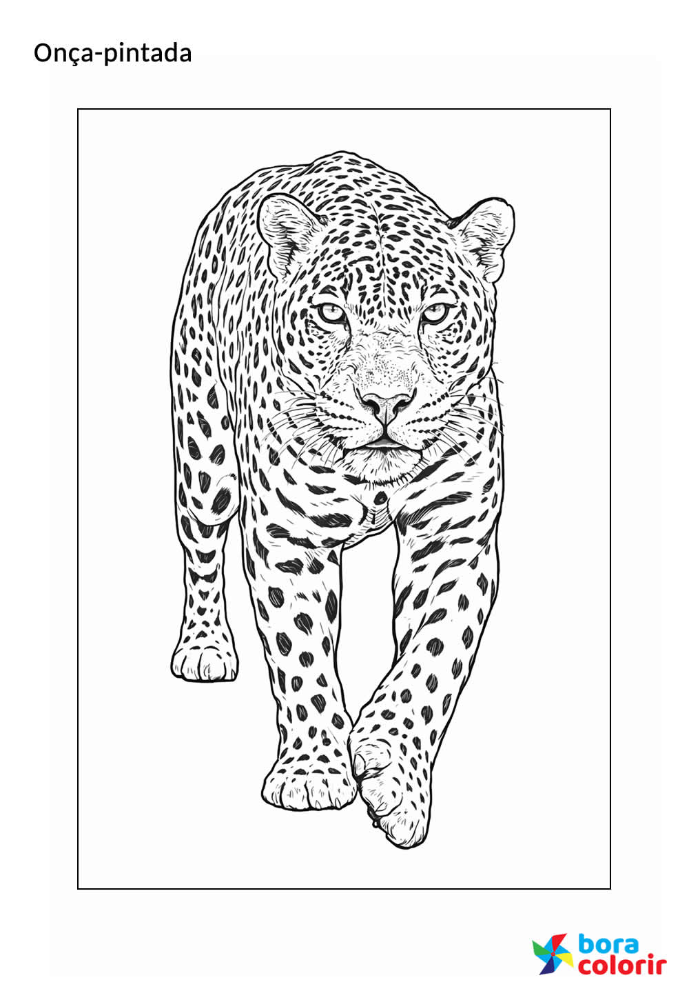Desenho de Onça Pintada