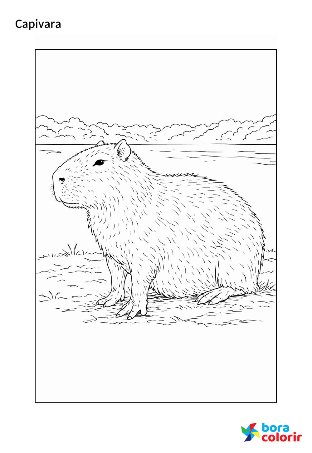 Desenho de Capivara